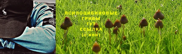 дживик Баксан