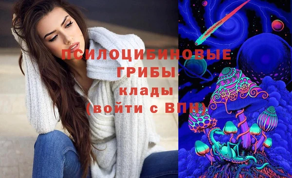 гидра Балахна